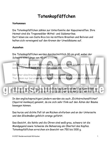 Totenkopfäffchen-Text-1.pdf